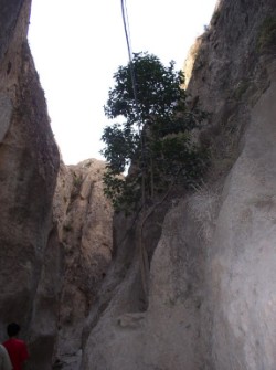 Thekla Schlucht 